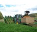 OHAKUNE CARROTS  750 Gram Bag